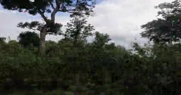 Bulutlu Bir Günde Macera Gezisi Sırasında Orman Dağların Ortasındaki Güzel — Stok video