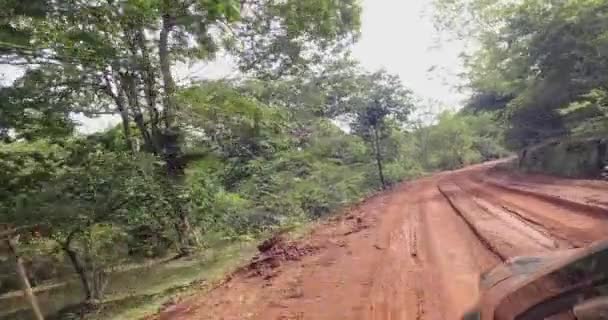 Ormanda Çamurlu Yolda Araba Sürerken Çekilmiş Bir Video Macera Gezisi — Stok video