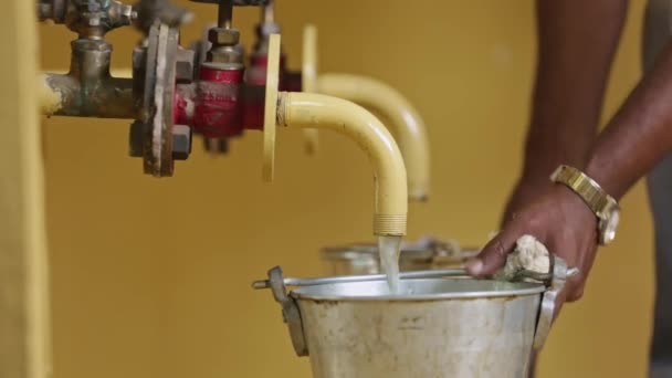 Wyekstrahowany Roztwór Mydła Płynie Jest Wyjmowany Pojemnika Procesie Produkcji Wiaderek — Wideo stockowe