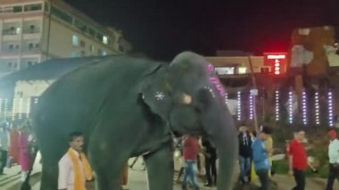 Dakshina Kannada, Hindistan-26 Nisan 2023: Festival gecesi tapınak caddesinde büyük bir filin kutsamasını alan bir adamın yakın çekimi