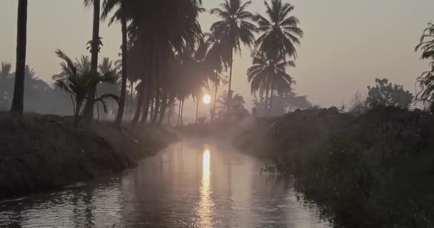Belo Pôr Sol Crepúsculo Sobre Canal Irrigação Meio Plantações Coco — Vídeo de Stock