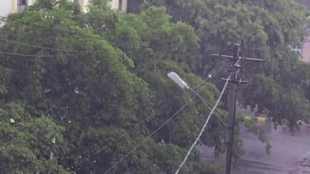 Uma Vista Varanda Mostra Forte Chuva Sobre Rua Cidade Chover — Vídeo de Stock