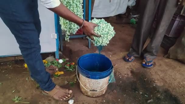 Sprzedawca Zanurza Girlandy Jaśminowe Kolorowej Wodzie Aby Utrzymać Świeże Sklepie — Wideo stockowe