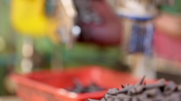 Üretilmiş Küflenmiş Tütsü Konilerinin Fabrikadaki Plastik Tepsiye Düşüşü Tütsü Konilerinin — Stok video