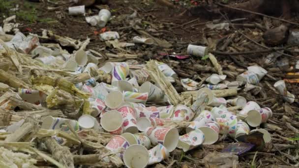 Primer Plano Bagazo Caña Azúcar Residuos Vasos Papel Arrojados Borde — Vídeos de Stock