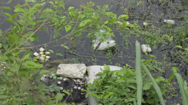 Close Lago Cheio Lixo Bangalore Devido Negligência Das Pessoas Conceito — Vídeo de Stock
