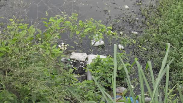 Close Lago Cheio Lixo Bangalore Devido Negligência Das Pessoas Conceito — Vídeo de Stock