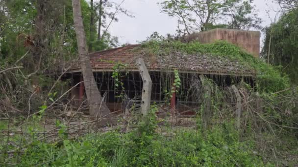 緑豊かな 夏の間に高くそびえる木々の中に囲まれたインドの村で捨てられたヴィンテージの家 — ストック動画