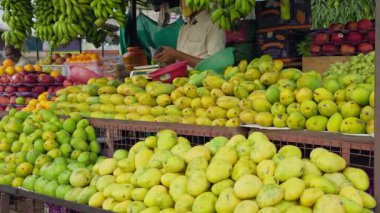 Vijayanagara, Hindistan-16 Nisan 2023: Gündüz vakti yerel bir yol kenarı meyve dükkanında birçok taze mango çeşidinin yakın plan çekimi. Hint yol kenarı dükkanları