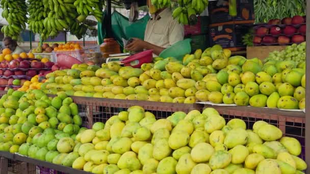 Vijayanagara Indie Kwiecień 2023 Zbliżenie Wielu Świeżych Odmian Mango Ułożone — Wideo stockowe