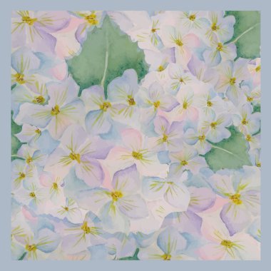 Hortensia suluboya baskı kartpostal afişi basım için el yazısı, pankart