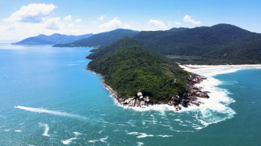 Florianpolis, Santa Catarina 'daki Naufragados sahilinin kayalık ve dağlık kıyı şeridi Atlantik orman bitkileriyle dolu. Rocky kıyı şeridi.