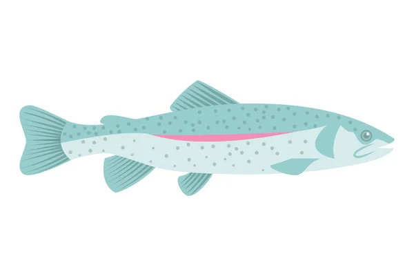 Regenboogforel Vissen Geïsoleerd Witte Achtergrond Vector Illustratie Plat Ontwerp — Stockvector