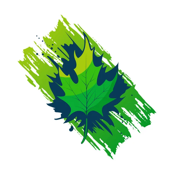 Folha Bordo Abstrata Verão Verde Colorido Folhas Primavera Elemento Modelo —  Vetores de Stock