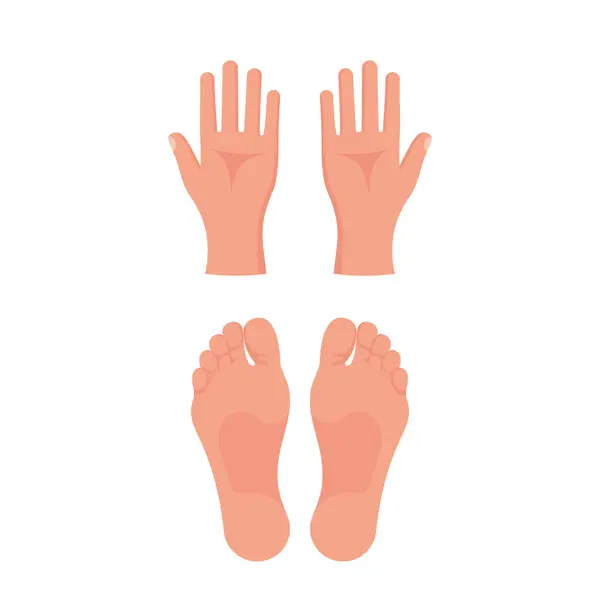 Hand Leg Flat Icon Palms Hands Bare Feet Vector Illustration — Stock Vector