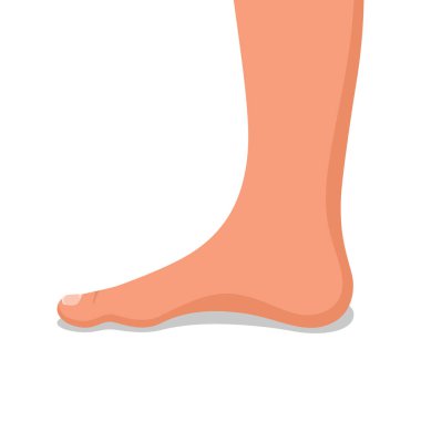 Çıplak ayaklar. Erkek bacakları, parmak ve tırnaklar. Ayak ikonu. Tıp tasarımı ve kozmetoloji için bir şablon. Pedikür. Vektör çizimi düz tasarım. Beyaz arkaplanda izole.