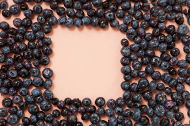 Taze yaban mersininden yapılmış çerçeve. Kare şeklinde. pembe arka plan. Yaratıcı organik model. Düz manzaralı. Sağlıklı organik gıda antioksidan mavi vitamin yiyeceği.