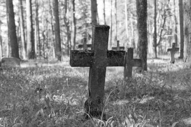 Mezar taşı siyah beyaz görüntü. Vormsi 'deki Estonya' daki eski mezarlık.