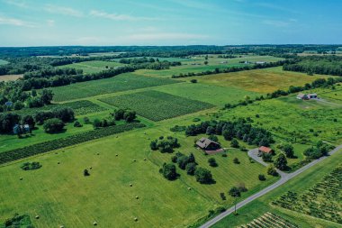 Bir üzüm bağı havadan görünümü
