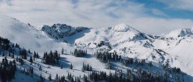 Karla kaplı ağaçlarla kaplı güzel kış manzarası