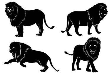 Beyaz arka planda izole edilmiş aslan silueti. Aslan silueti koleksiyonu