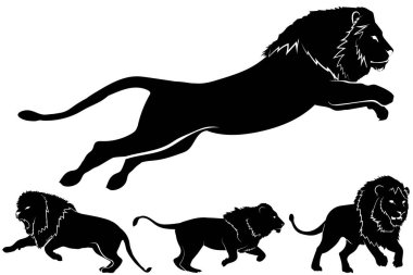 Vector set of lions silhouette isolated on white background. Lions silhouette collection clipart