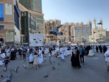 Mescid-i Haram, Mekke ve Suudi Arabistan 'ın dış avlusundaki güvercinler hacıların sunduğu tahılları yiyorlar..