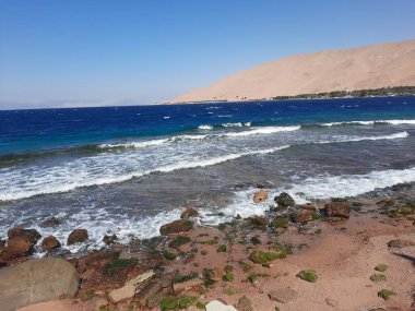 The mesmerizing view of the deep blue waters of Haql beach in Saudi Arabia.