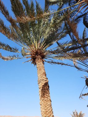 The mesmerizing view of the deep blue waters of Haql beach in Saudi Arabia. Haql Beach in Saudi Arabia is famous for its deep blue water and natural beauty.