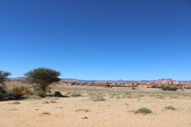 El-Ula, Suudi Arabistan 'daki Madain Saleh arkeolojik sahasının güzel gündüz manzarası.