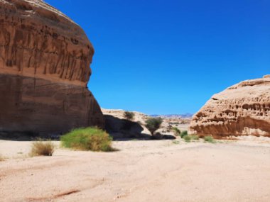 El-Ula, Suudi Arabistan 'daki Madain Saleh arkeolojik sahasının güzel gündüz manzarası.