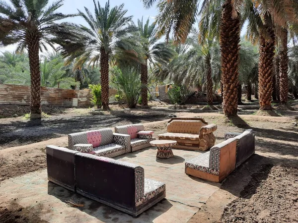 Une Belle Vue Sur Les Jardins Palmiers Médine Arabie Saoudite — Photo