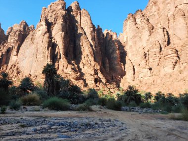 Suudi Arabistan Tabuk 'taki Wadi Al Disah' ın güzel gündüz manzarası. Vadinin eski dağları ve yeşillikleri görünür..