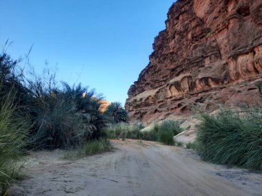 Suudi Arabistan Tabuk 'taki Wadi Al Disah' ın güzel gündüz manzarası. Vadinin eski dağları ve yeşillikleri görünür..