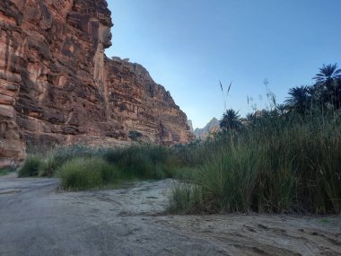 Suudi Arabistan Tabuk 'taki Wadi Al Disah' ın güzel gündüz manzarası. Vadinin eski dağları ve yeşillikleri görünür..