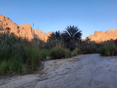 Suudi Arabistan Tabuk 'taki Wadi Al Disah' ın güzel gündüz manzarası. Vadinin eski dağları ve yeşillikleri görünür..