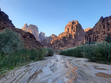 Suudi Arabistan Tabuk 'taki Wadi Al Disah' ın güzel gündüz manzarası. Vadinin eski dağları ve yeşillikleri görünür..