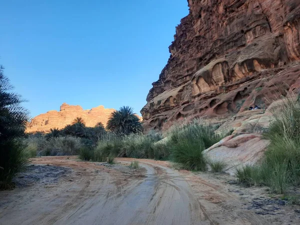 Suudi Arabistan Tabuk 'taki Wadi Al Disah' ın güzel gündüz manzarası. Vadinin eski dağları ve yeşillikleri görünür..