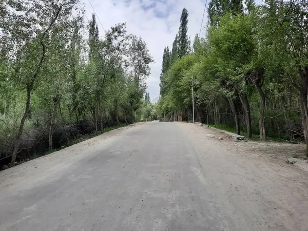 Pakistan, Gilgit-Baltistan 'daki Shigar Vadisi' nin nefes kesici doğal güzelliği. Shigar Vadisi yüksek dağları ve doğal güzelliği ile ünlüdür.. 