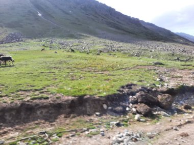 Gilgit-Baltistan 'daki Burzil Geçidi' nin güzel bir manzarası. Burzil Geçidi Pakistan 'ın Gilgit-Baltistan bölgesinde yüksek bir dağ geçididir..