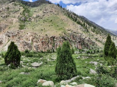  Pakistan 'daki Gilgit-Baltistan' ın görkemli doğal güzelliği. Gilgit-Baltistan şaşırtıcı doğal güzelliğiyle tanınır. Eşsiz manzaralar, yemyeşil ormanlar, soğuk çöller ve karla kaplı dağlar.. 