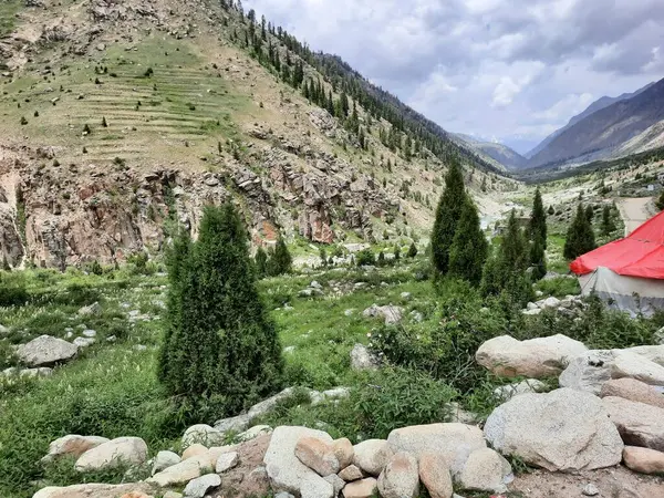  Pakistan 'daki Gilgit-Baltistan' ın görkemli doğal güzelliği. Gilgit-Baltistan şaşırtıcı doğal güzelliğiyle tanınır. Eşsiz manzaralar, yemyeşil ormanlar, soğuk çöller ve karla kaplı dağlar.. 