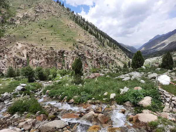 stock image Majestic natural beauty of Gilgit-Baltistan in Pakistan. Gilgit-Baltistan is known for its astonishing natural beauty. Unique landscapes, evergreen  forests, cold deserts and snow covered mountains. 