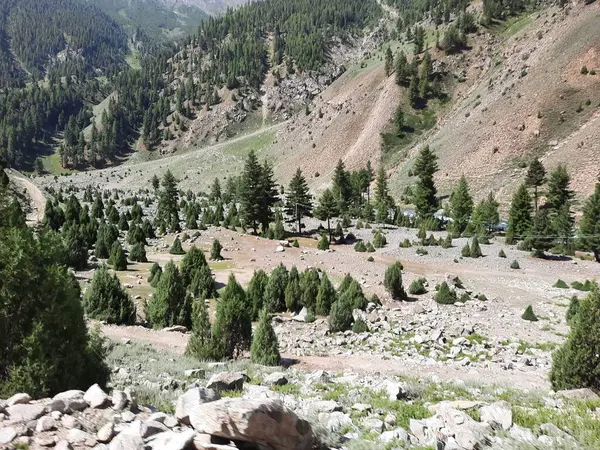 stock image  Majestic natural beauty of Gilgit-Baltistan in Pakistan. Gilgit-Baltistan is known for its astonishing natural beauty. Unique landscapes, evergreen  forests, cold deserts and snow covered mountains. 