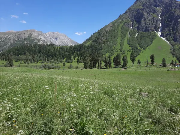 stock image Majestic natural beauty of Gilgit-Baltistan in Pakistan. Gilgit-Baltistan is known for its astonishing natural beauty. Unique landscapes, evergreen  forests, cold deserts and snow covered mountains. 