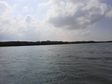 Suudi Arabistan 'ın Jazan kentindeki Farasan Adaları yakınlarındaki Kızıl Deniz' deki mangrov ormanlarının çarpıcı gündüz görüntüsü.