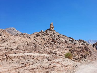  Al Bada, Tabuk 'taki Split Rock of Horeb çevresindeki dağların çarpıcı gündüz görüntüsü. Split Horeb Kayası, batıda Tabuk bölgesinde Al Bada yakınlarında bulunan Jabal Al Lawz üssünde yer almaktadır..