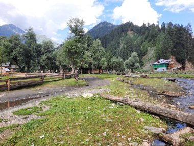 Kaşmir 'in Neelum Vadisi' ndeki Taobat Bala 'nın nefes kesici doğal güzelliği. Bu bölgede yemyeşil ağaçlarla, yüksek dağlarla ve ışıl ışıl akan pınarlarla dolu çarpıcı bir vadi var..
