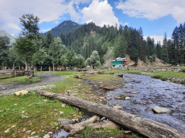  Kaşmir 'in Neelum Vadisi' ndeki Taobat Bala 'nın nefes kesici doğal güzelliği. Bu bölgede yemyeşil ağaçlarla, yüksek dağlarla ve ışıl ışıl akan pınarlarla dolu çarpıcı bir vadi var..