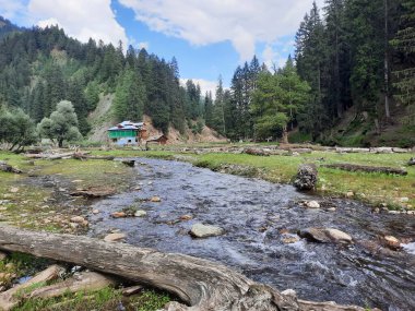  Kaşmir 'in Neelum Vadisi' ndeki Taobat Bala 'nın nefes kesici doğal güzelliği. Bu bölgede yemyeşil ağaçlarla, yüksek dağlarla ve ışıl ışıl akan pınarlarla dolu çarpıcı bir vadi var..